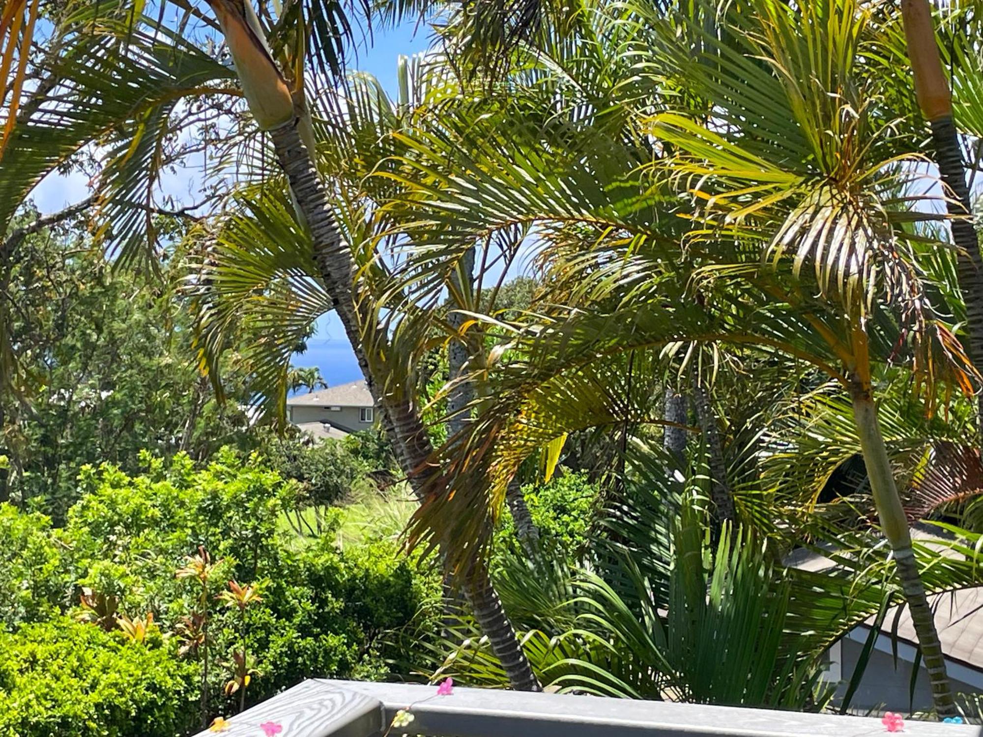Puu Koa Palms Vacation